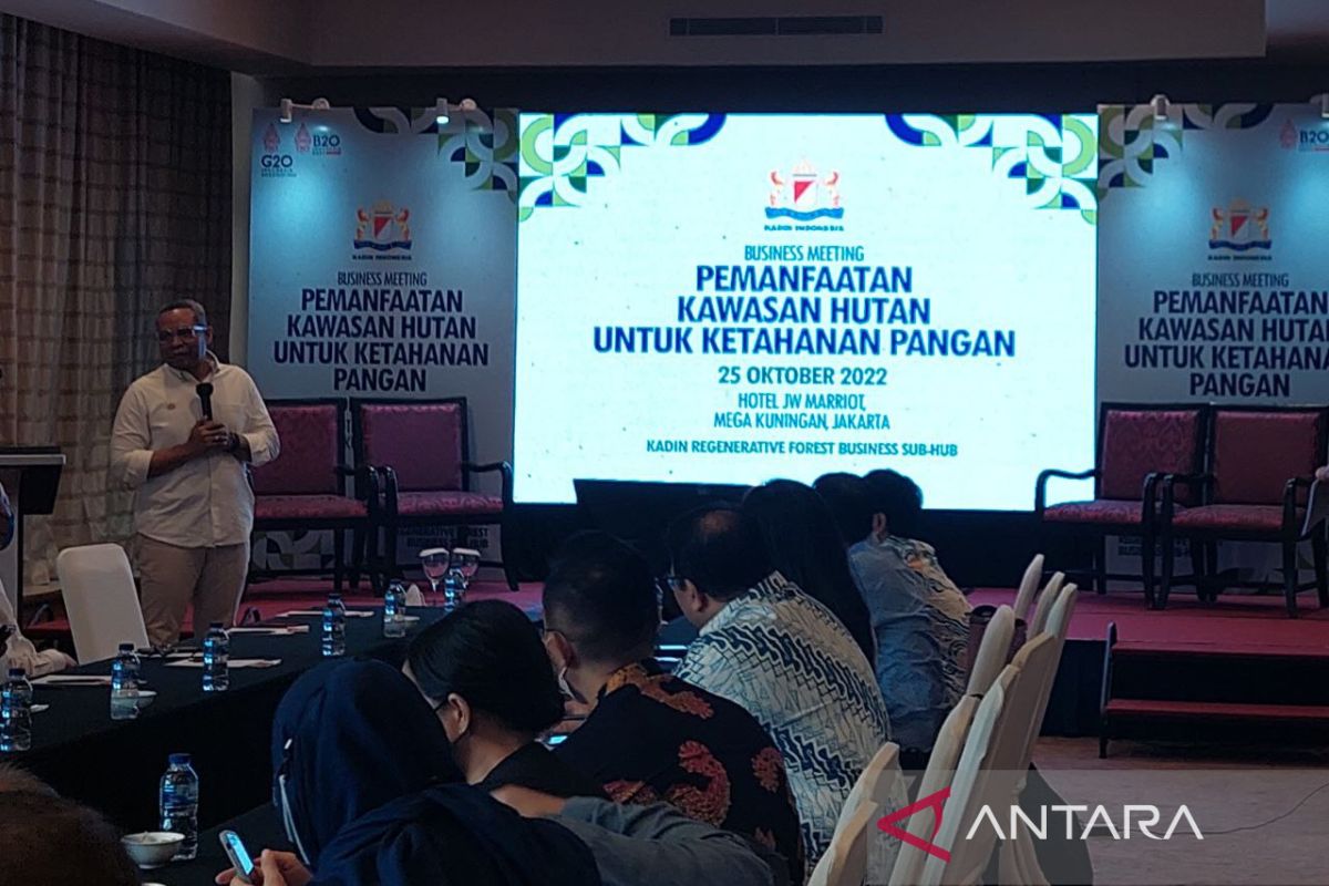 Kadin fasilitasi kerja sama pengusaha sektor kehutanan dengan hilir