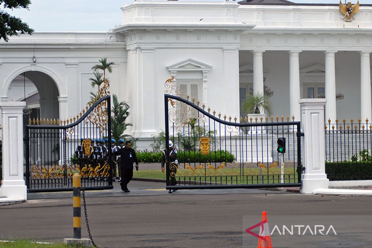 Sikapi perempuan bawa senjata api, Kabareskrim: Pengamanan Istana cukup baik