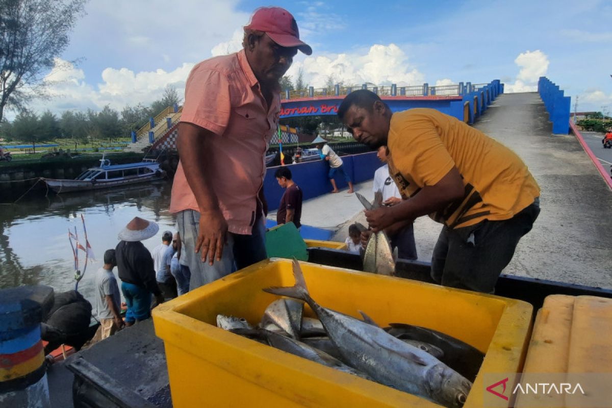 Konsumsi ikan warga Pariaman 2022 naik jadi 44,50 kilogram perkapita