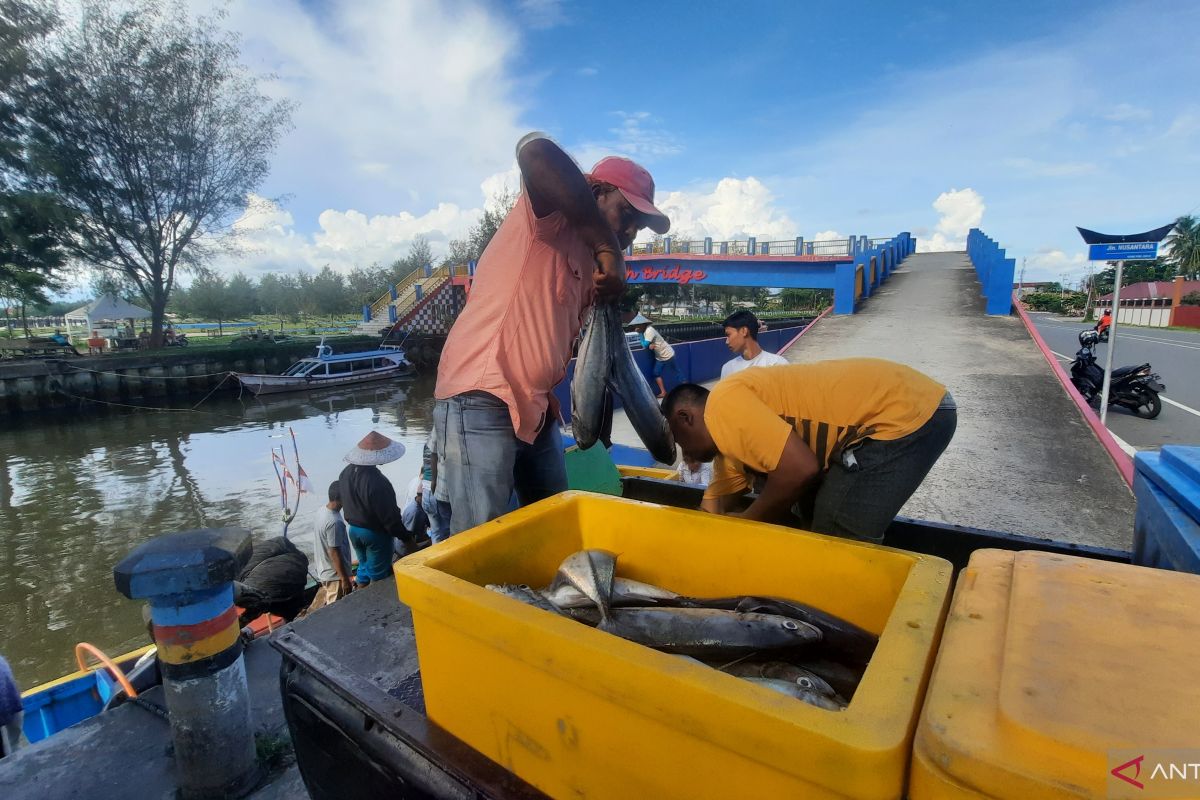 Realisasi produksi ikan tangkap Pariaman Januari-Agustus 2022 capai 4.151 ton