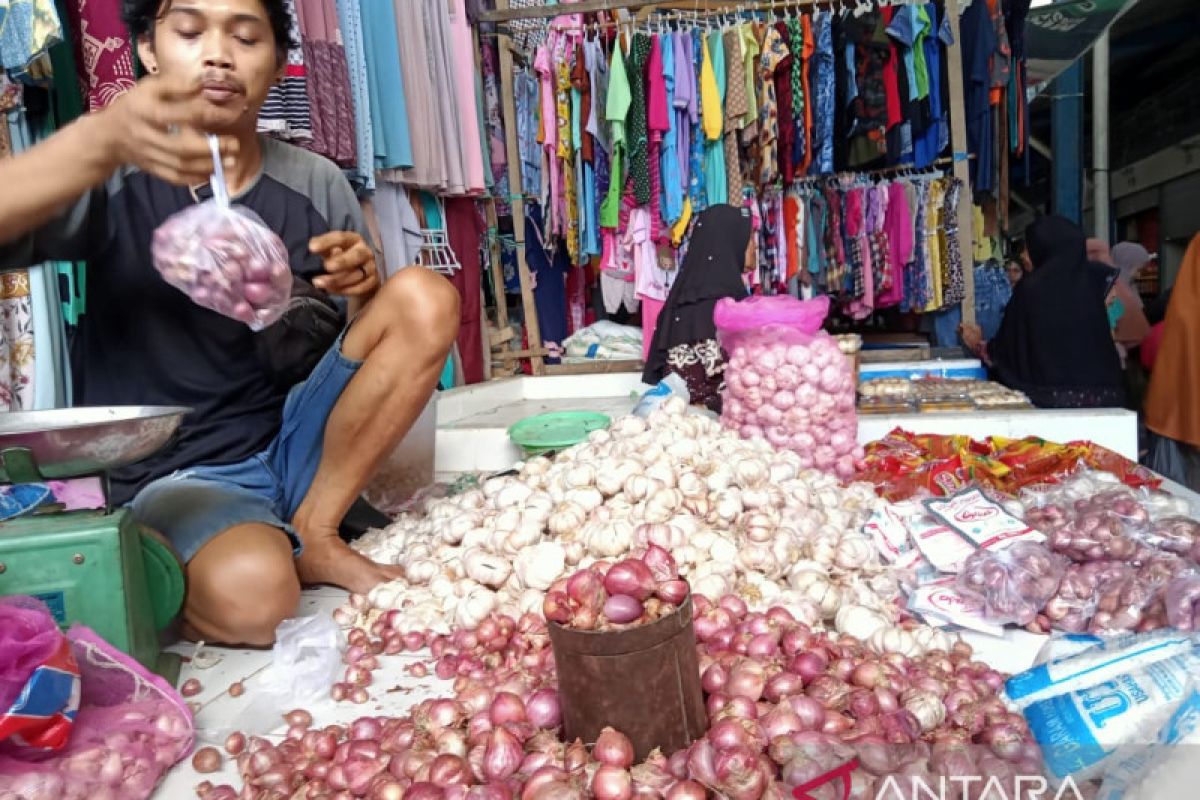 Kalbar kembangan bawang merah untuk memenuhi kebutuhan daerah