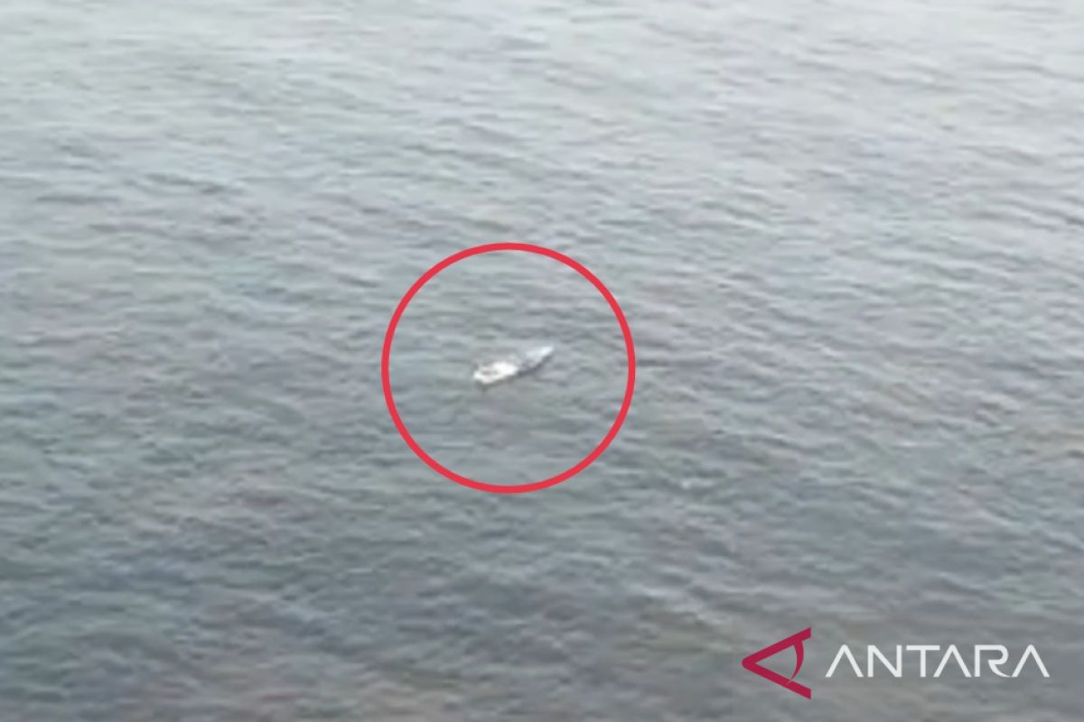 Kapal mati mesin di perairan Manokwari akhirnya ditemukan SAR gabungan
