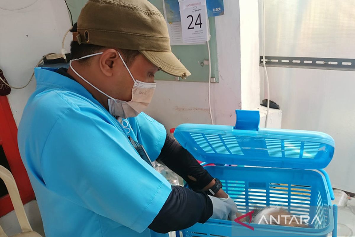 Pemkot Jakarta Pusat memvaksin anti rabies 3.639 hewan