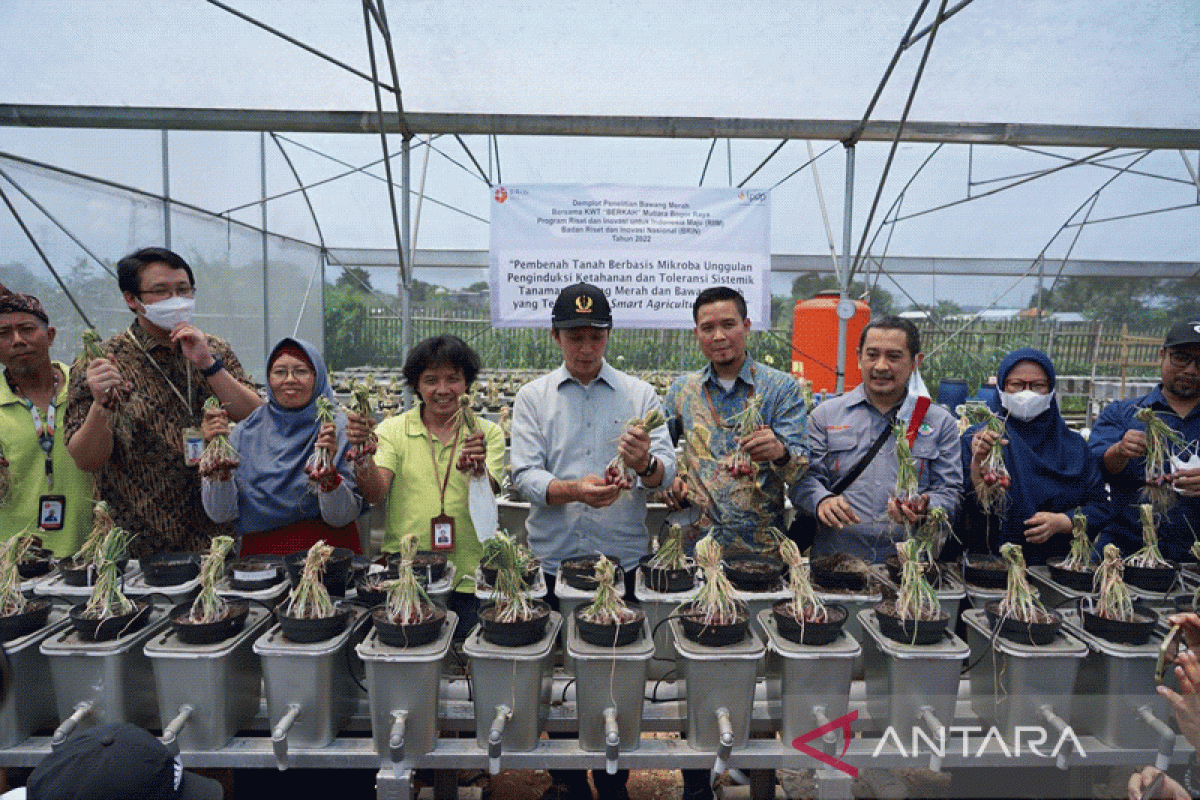 TPST3R MBR panen bawang dan jadi pusat pembelajaran