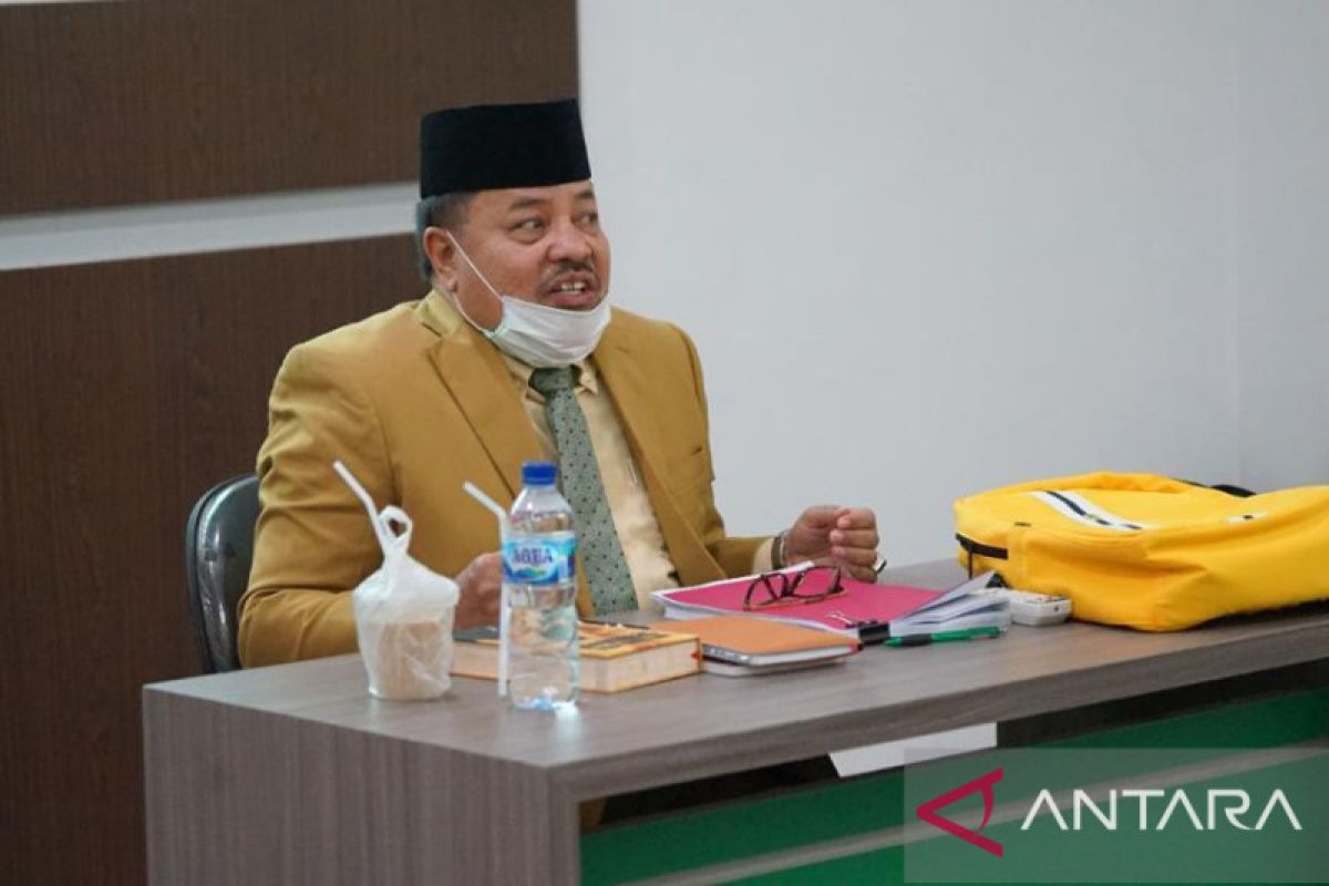 Legislator Aceh minta maskapai kembali buka rute penebangan ke daerah tujuan wisata