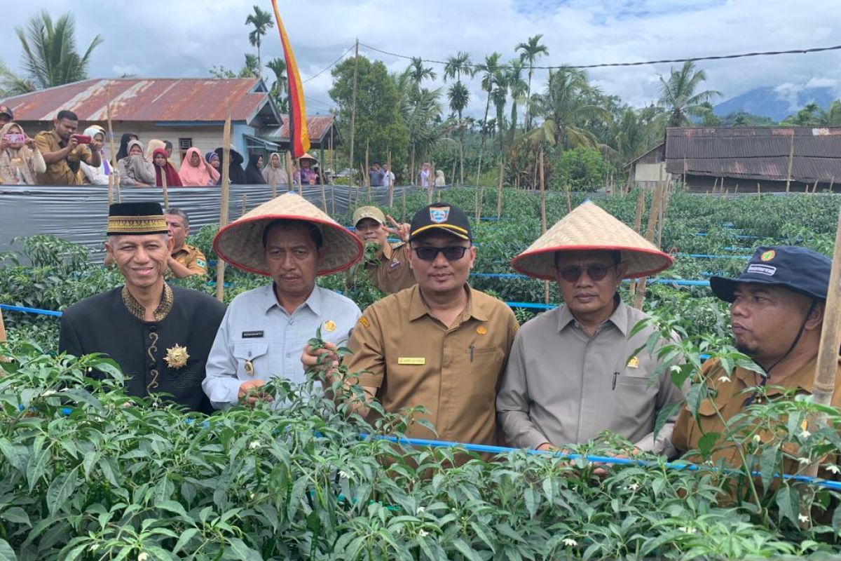 Pemkab Pasbar salurkan berbagai bantuan jaga ketahanan pangan nabati-hewani