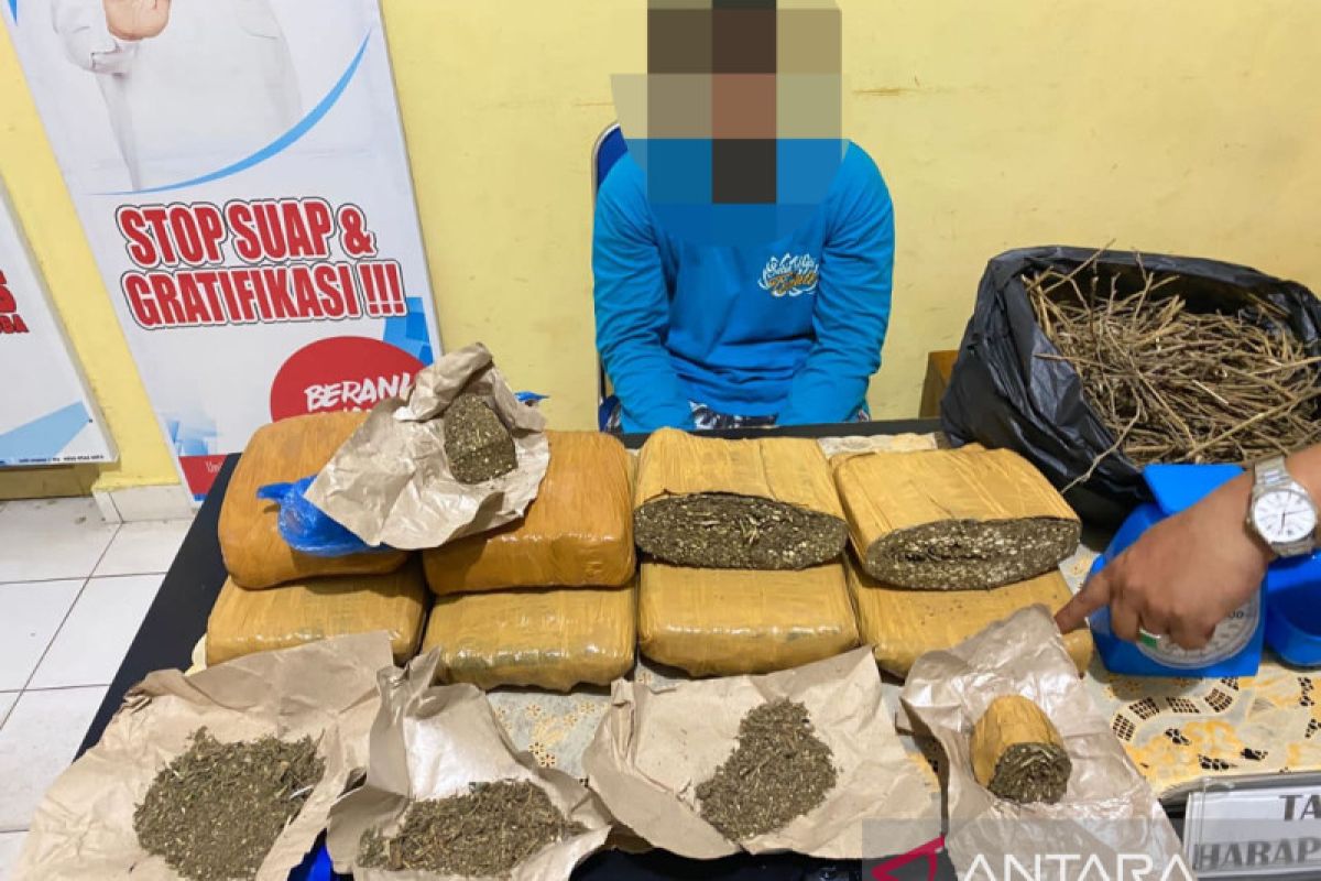 BNNK OKU Timur amankan 7 Kg ganja dari seorang pelajar SMA di Baturaja