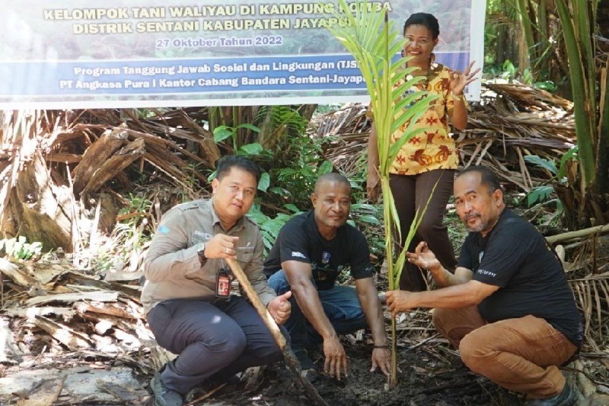 PT Angkasa Pura gandeng Dinas Perkebunan Kabupaten Jayapura tanam pohon sagu