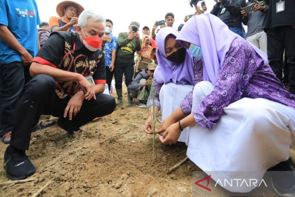 Pemprov Jateng gencarkan penanaman pohon di lahan kritis