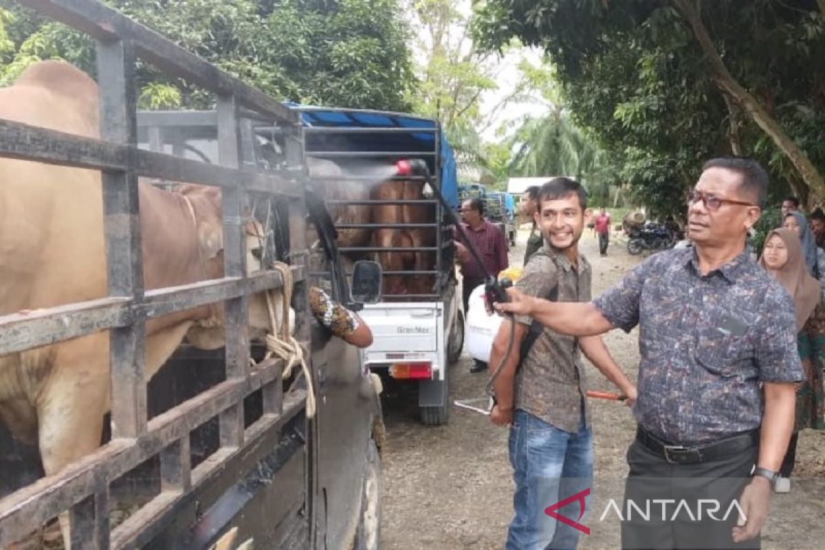 Wabah PMK nol kasus, pasar hewan Aceh Tamiang kembali dibuka