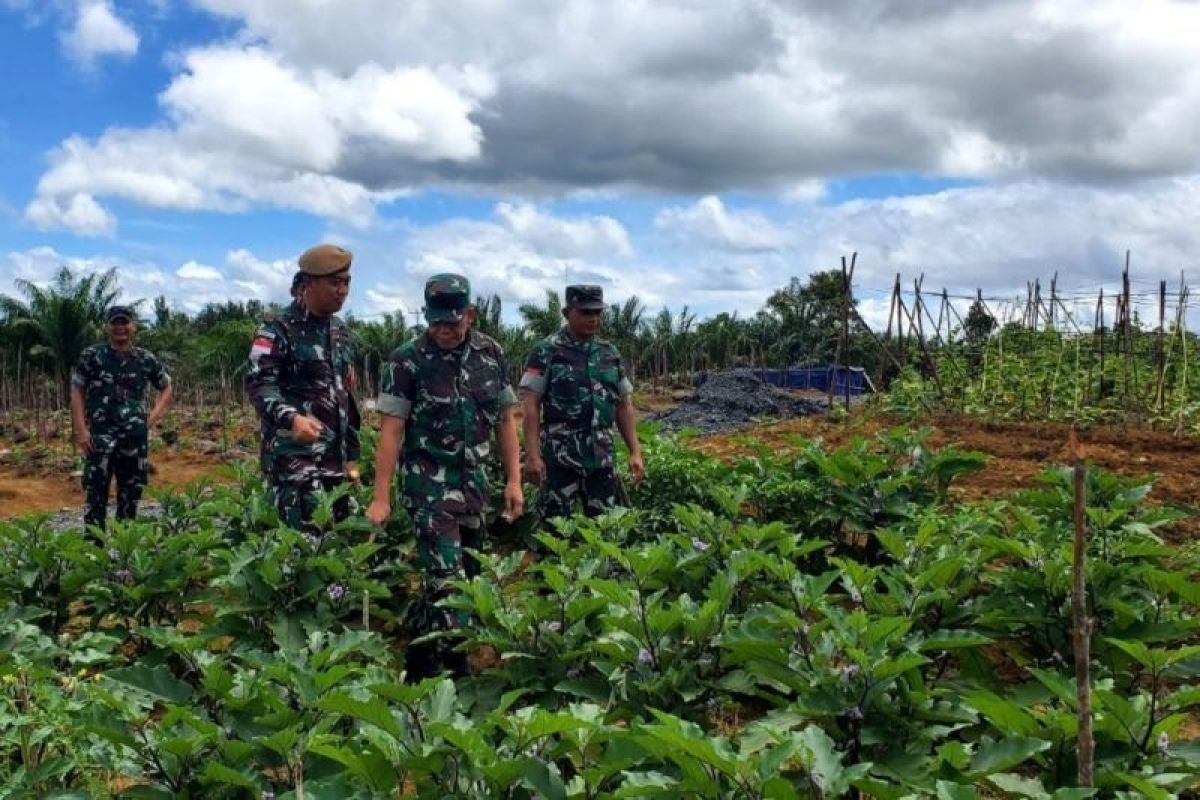 TNI gencarkan program ketahanan pangan di daerah perbatasan RI-Malaysia