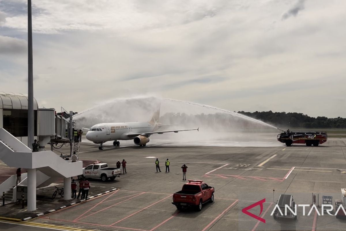 Bandara Hang Nadim tambah tiga rute penerbangan domestik