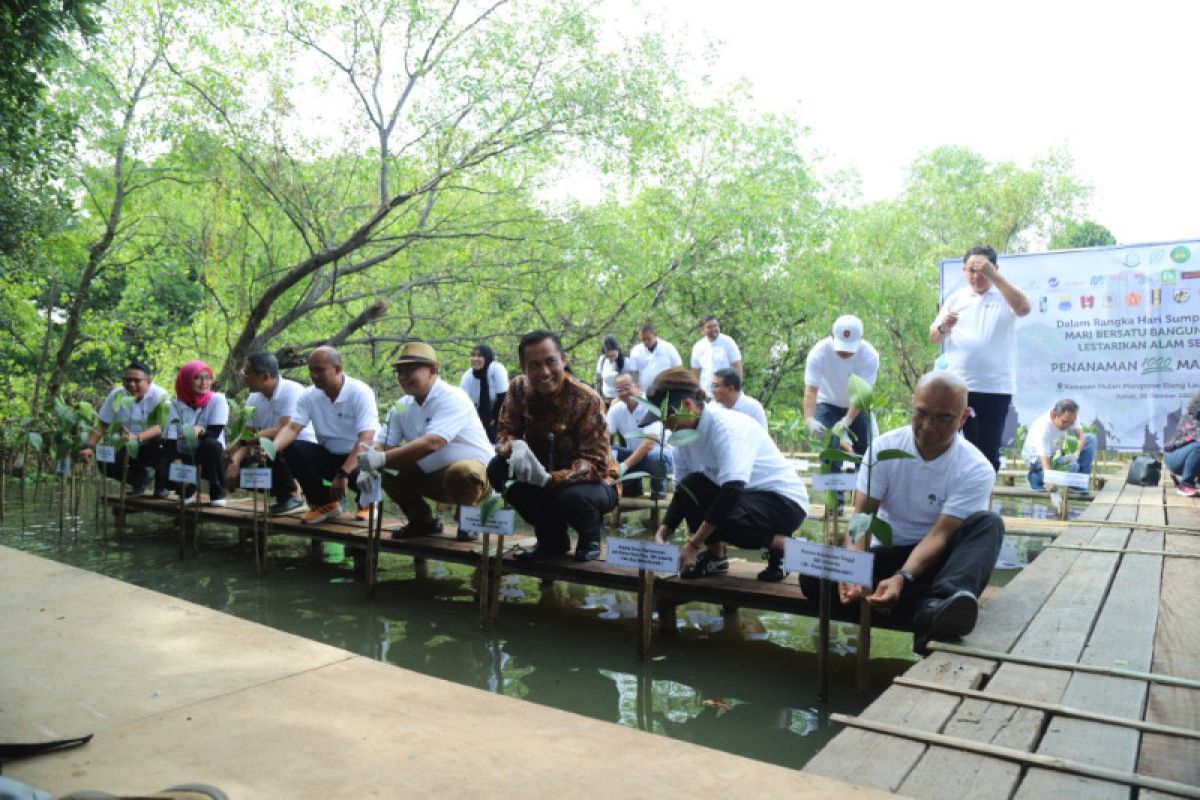 Sumpah Pemuda, 1.028 bibit mangrove ditanam di Elang Laut PIK