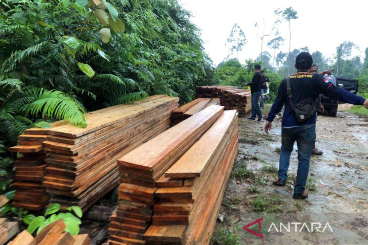 Polisi telusuri tersangka lain kasus pembalakan liar di Mukomuko