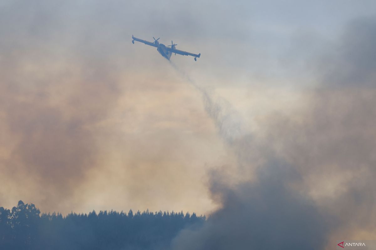Spanyol berjuang cegah meluasnya kebakaran 4,000 hektare hutan