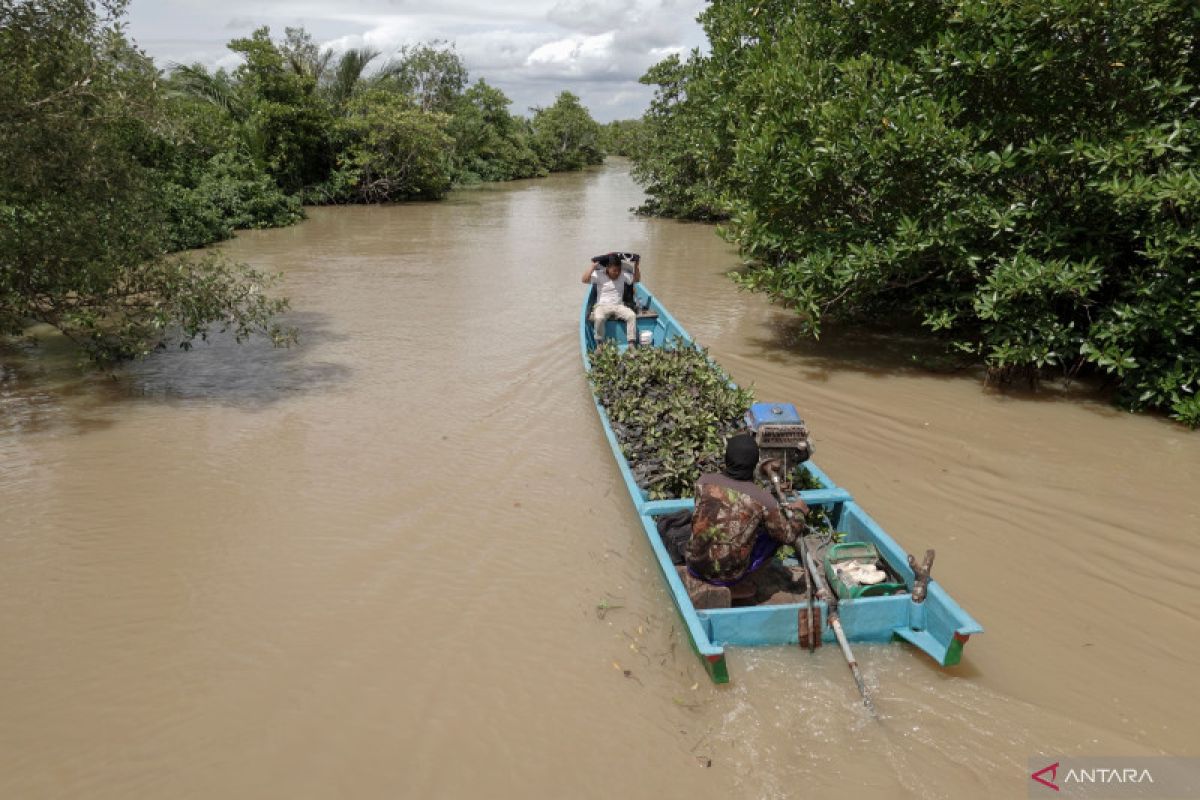 Menyelamatkan Segara Anakan Cilacap dari sedimentasi agar tidak lenyap