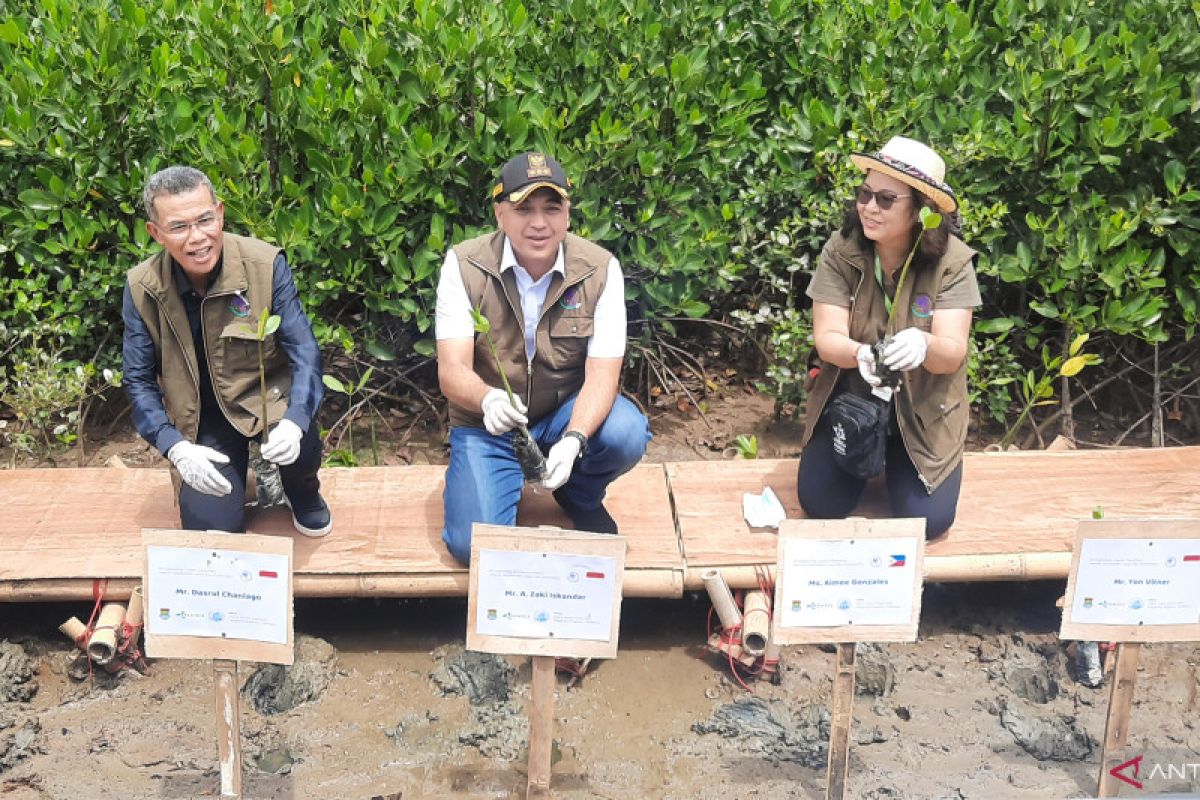 Pemkab Tangerang lakukan budi daya 40.000 bibit mangrove Bruguiera Cylindrica