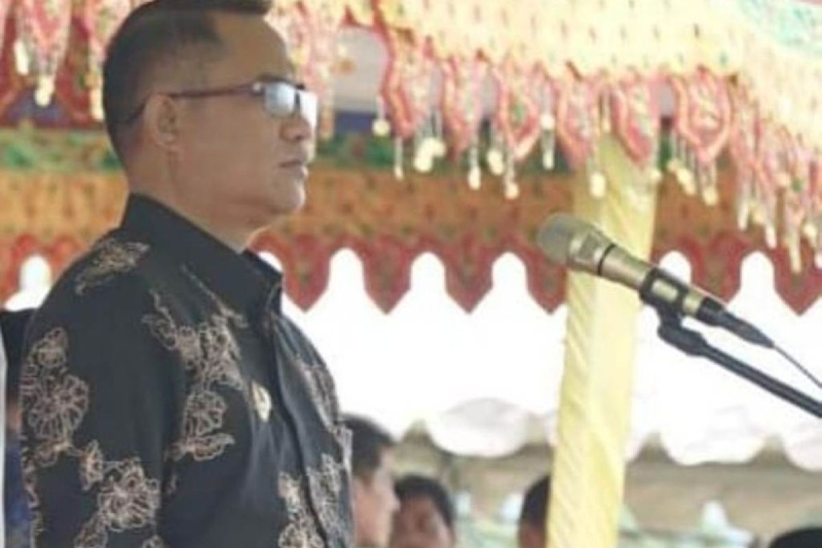 Wabup Sigi  dorong pemuda agar terlibat aktif dalam pembangunan daerah