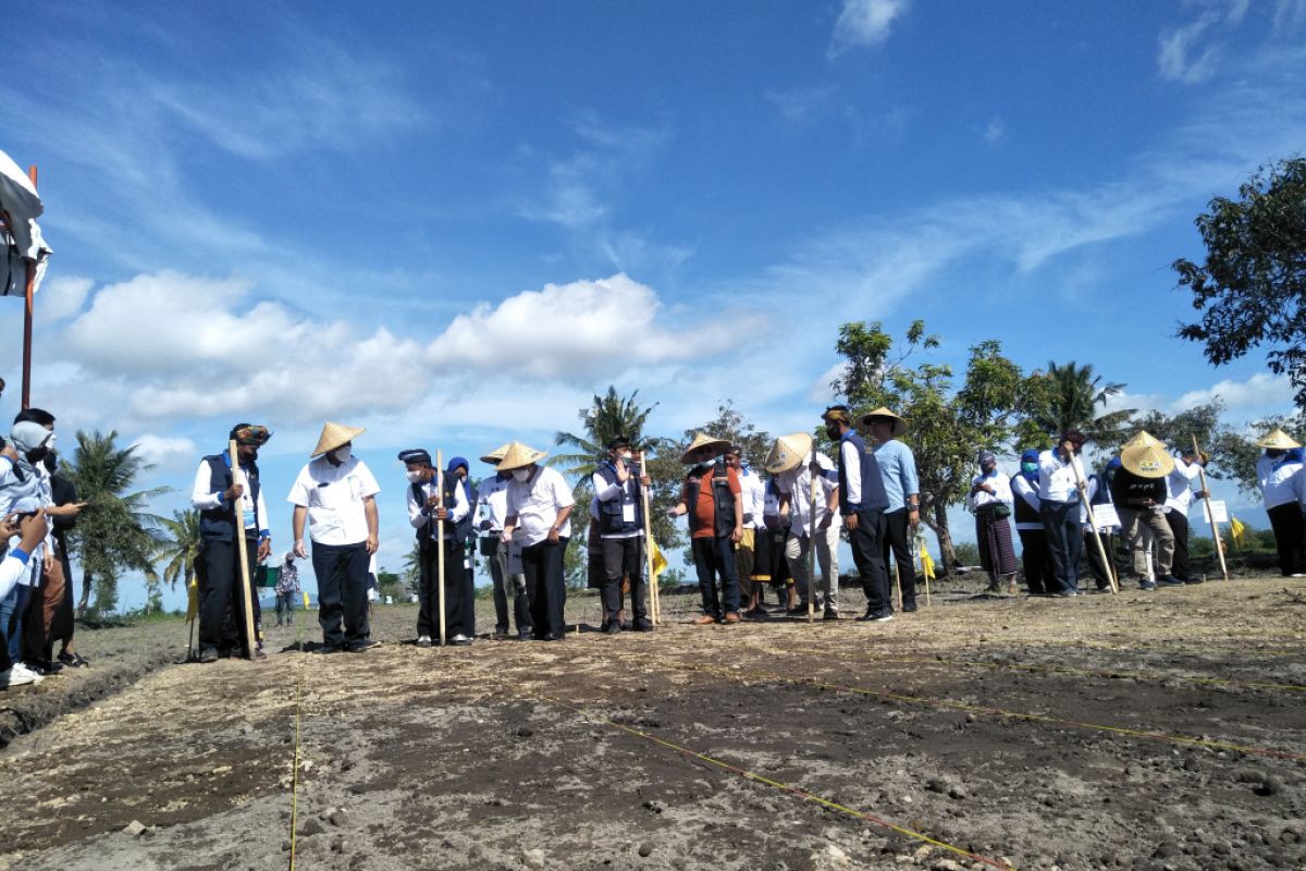 Kementerian PUPR mendukung pengembangan sorgum di Lombok Tengah