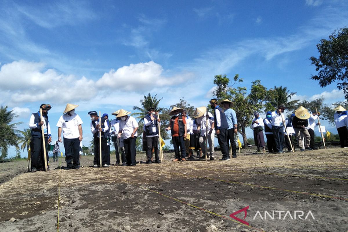 Kementerian PUPR dukung pengembangan sorgum di Lombok Tengah