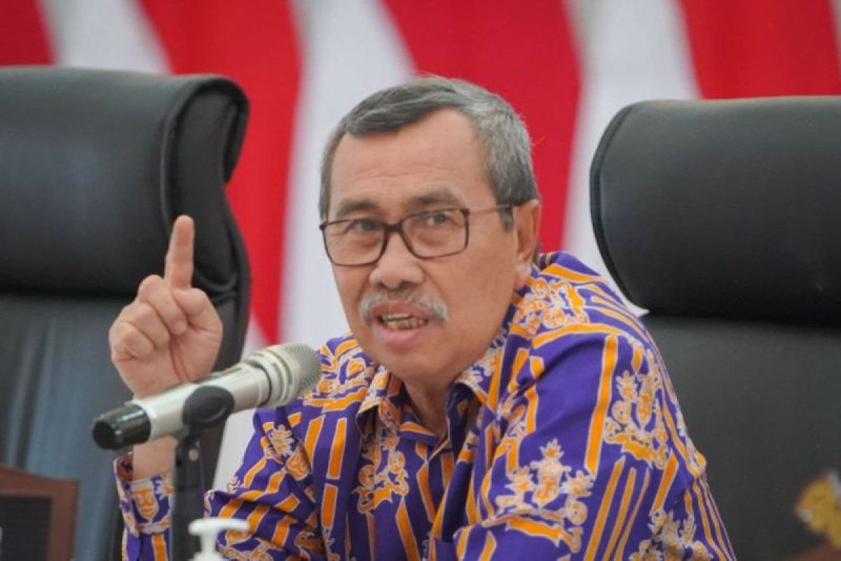 Pemerintah Provinsi Riau dorong pengembangan investasi mangrove untuk ekonomi hijau