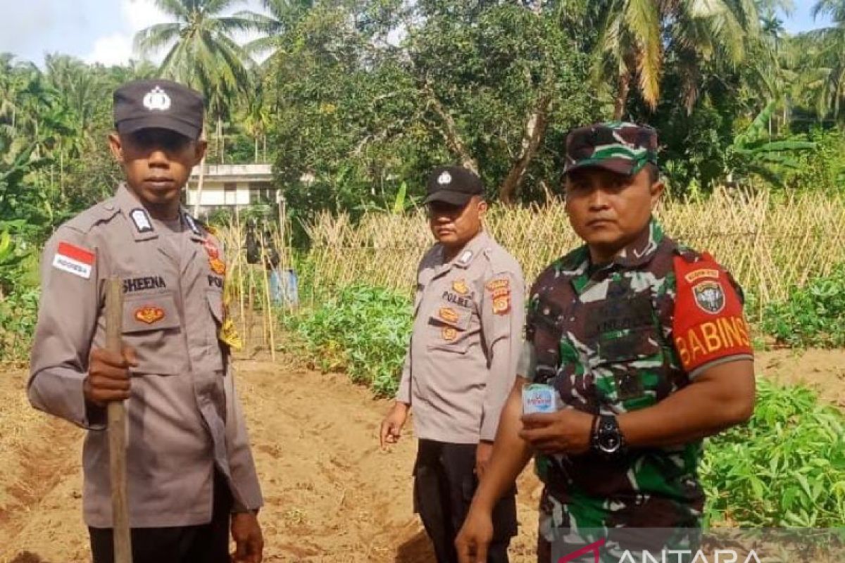 Bhabinkamtibmas Paya Seunara jadi pelopor ketahanan pangan di Sabang