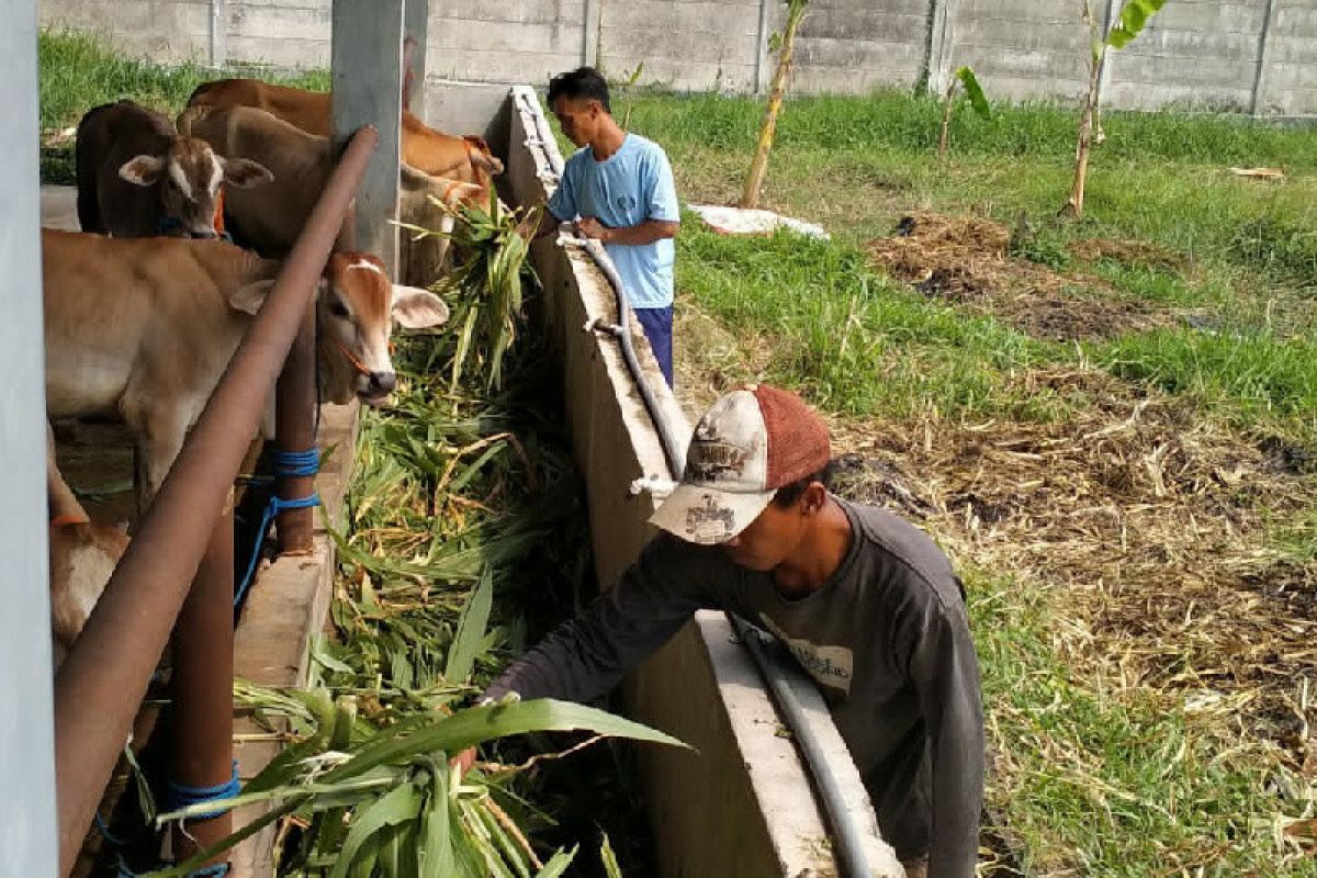 Meski hari libur, Pembinaan di Lapas Terbuka Kendal tetap jalan