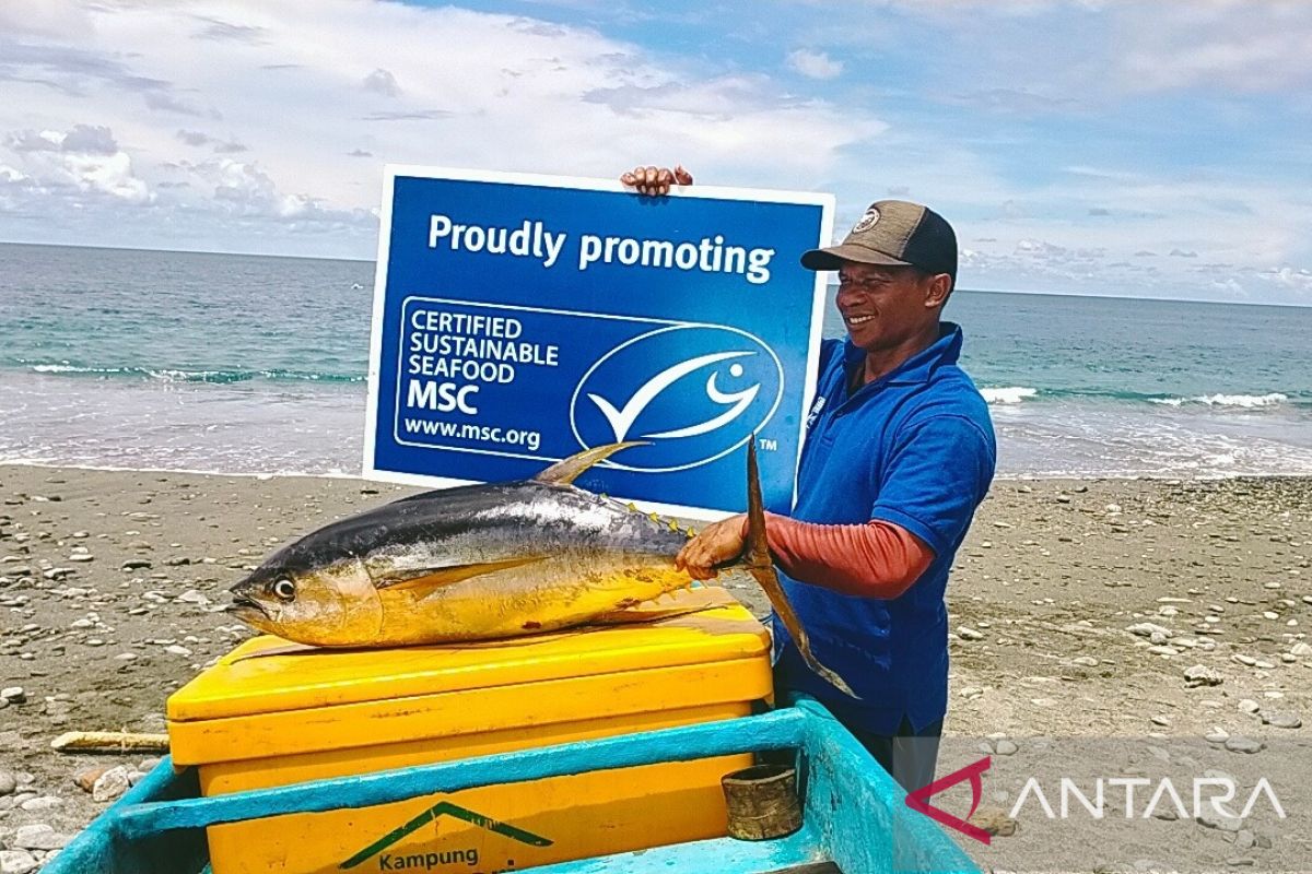 MSC luncurkan standar baru sertifikasi perikanan tangkap alam versi 3.0