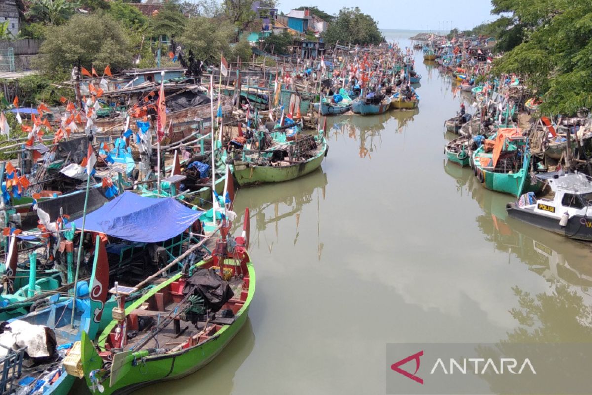 Ikan hasil tangkapan nelayan di Kabupaten Rembang turun