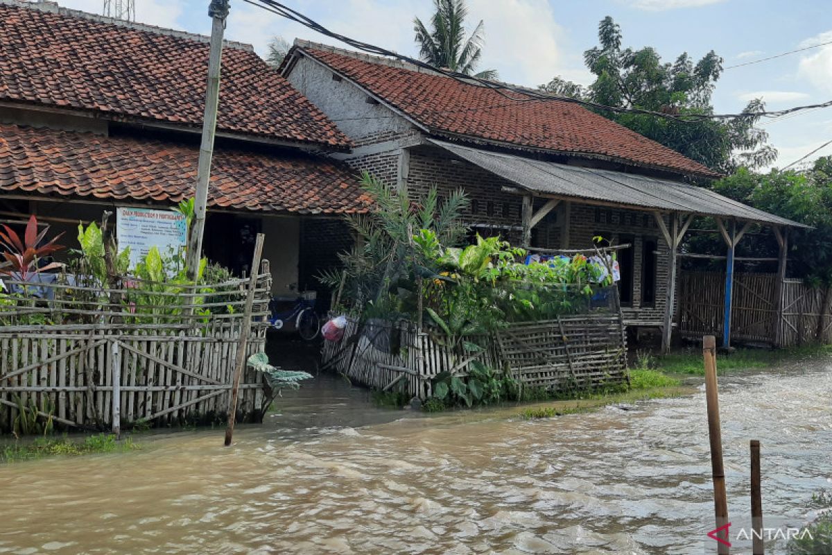 Pemukiman 220 keluarga di pesisir utara Kabupaten  Tangerang terendam banjir rob