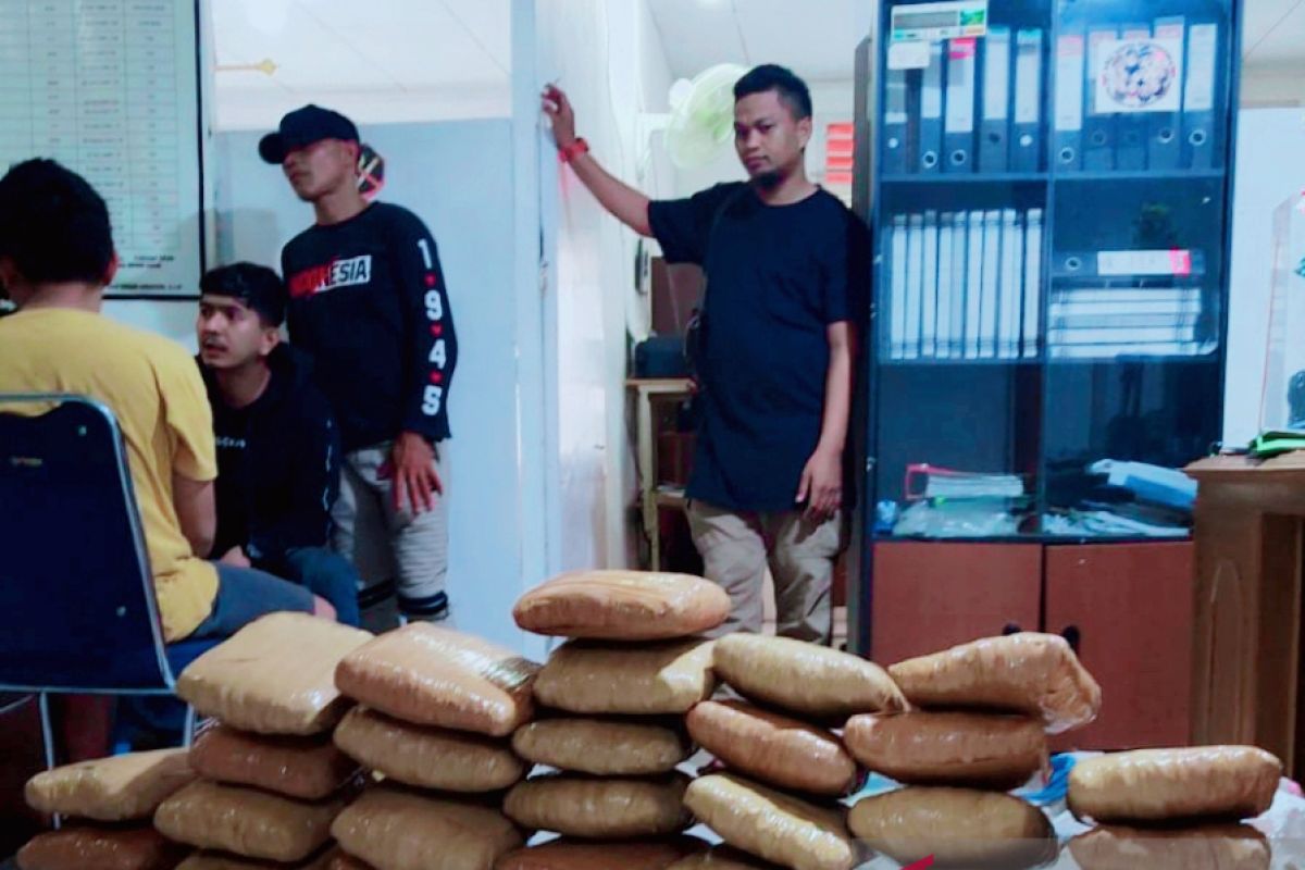 BNNK Solok berhasil gagalkan peredaran sabu 34,45 gram dan ganja 325,4 gram