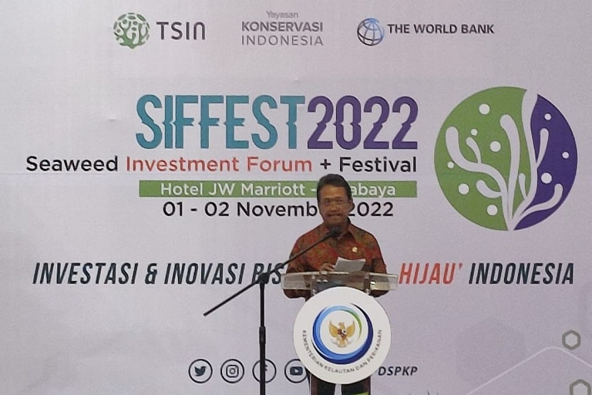 Expect SIFFEST to attract investment in seaweed businesses: minister