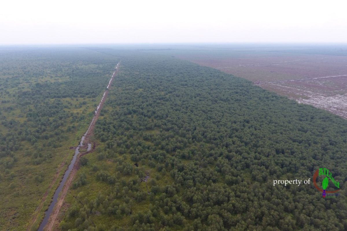 Provinsi Jambi memiliki 7.983 hektare hutan adat