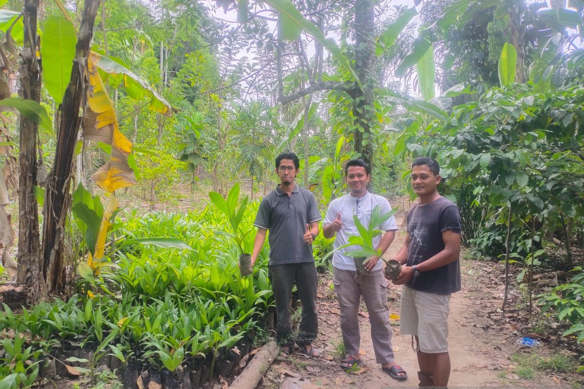 JBI Kabupaten OKU tanam 20 ribu bibit pohon pinang