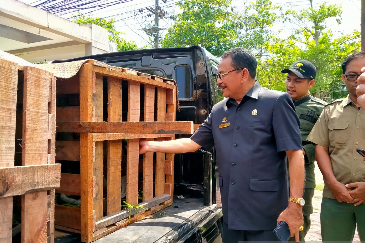 Ketua DPRD serahkan 27 bekantan ke BKSDA Kalsel