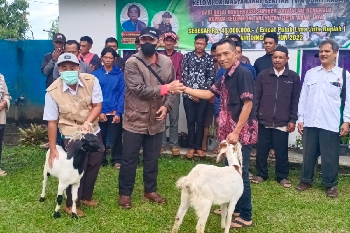 BKSDA Bengkulu bantu pengembangan usaha peternakan kambing