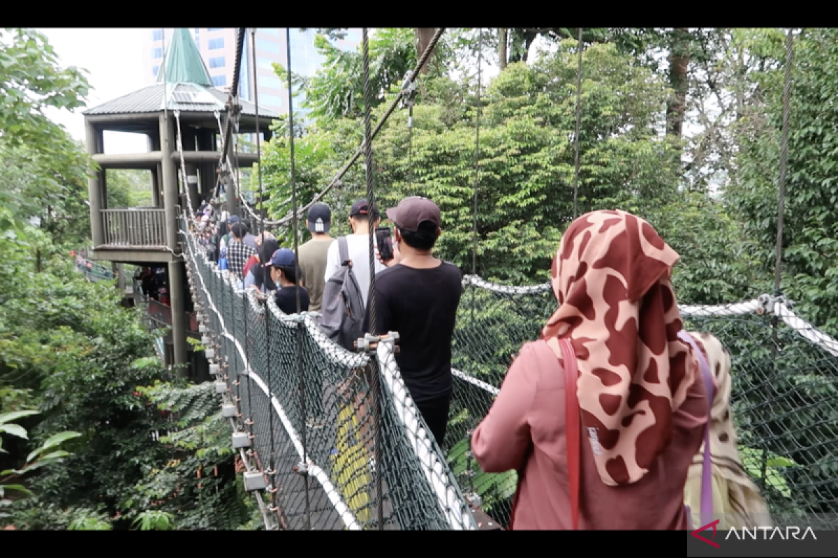 Belajar bareng murid sanggar bimbingan di ekosistem hutan Taman Eko Rimba Kuala Lumpur