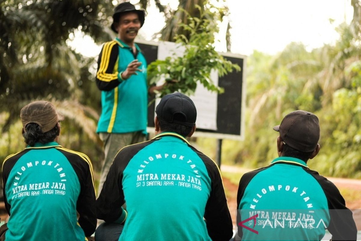 Sinar Mas Agribusiness and Food dan TaniFoundation jalin kerja sama tingkatkan literasi pertanian 80 kelompok tani di Indonesia