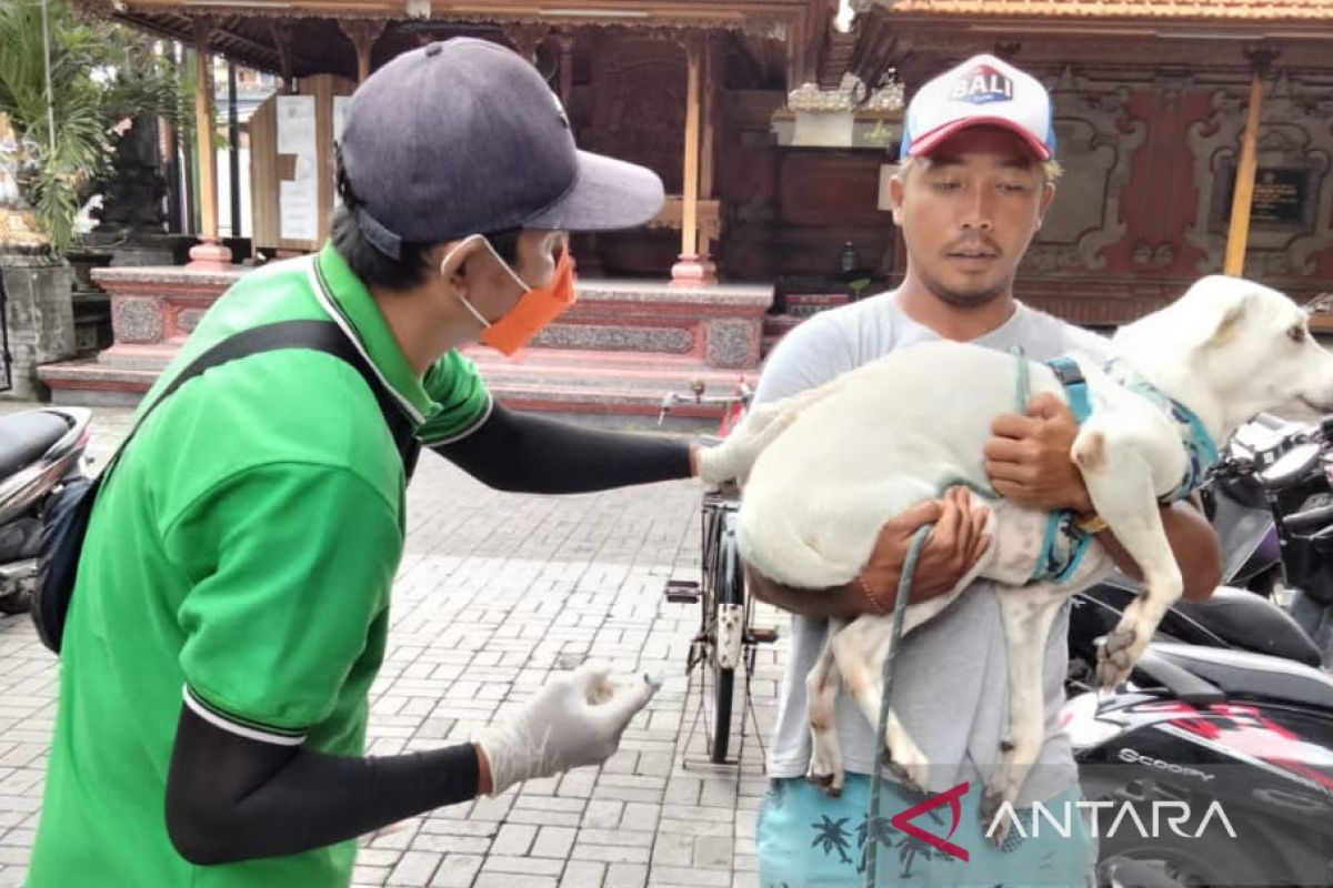 Badung lakukan pengendalian anjing liar jelang KTT G20