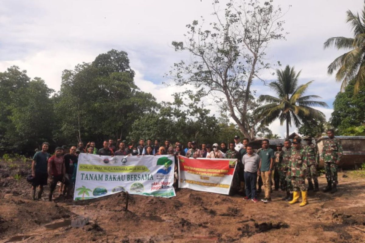 Koalisi Anak Muda Kaimana gandeng TNI-Polri tanam bakau