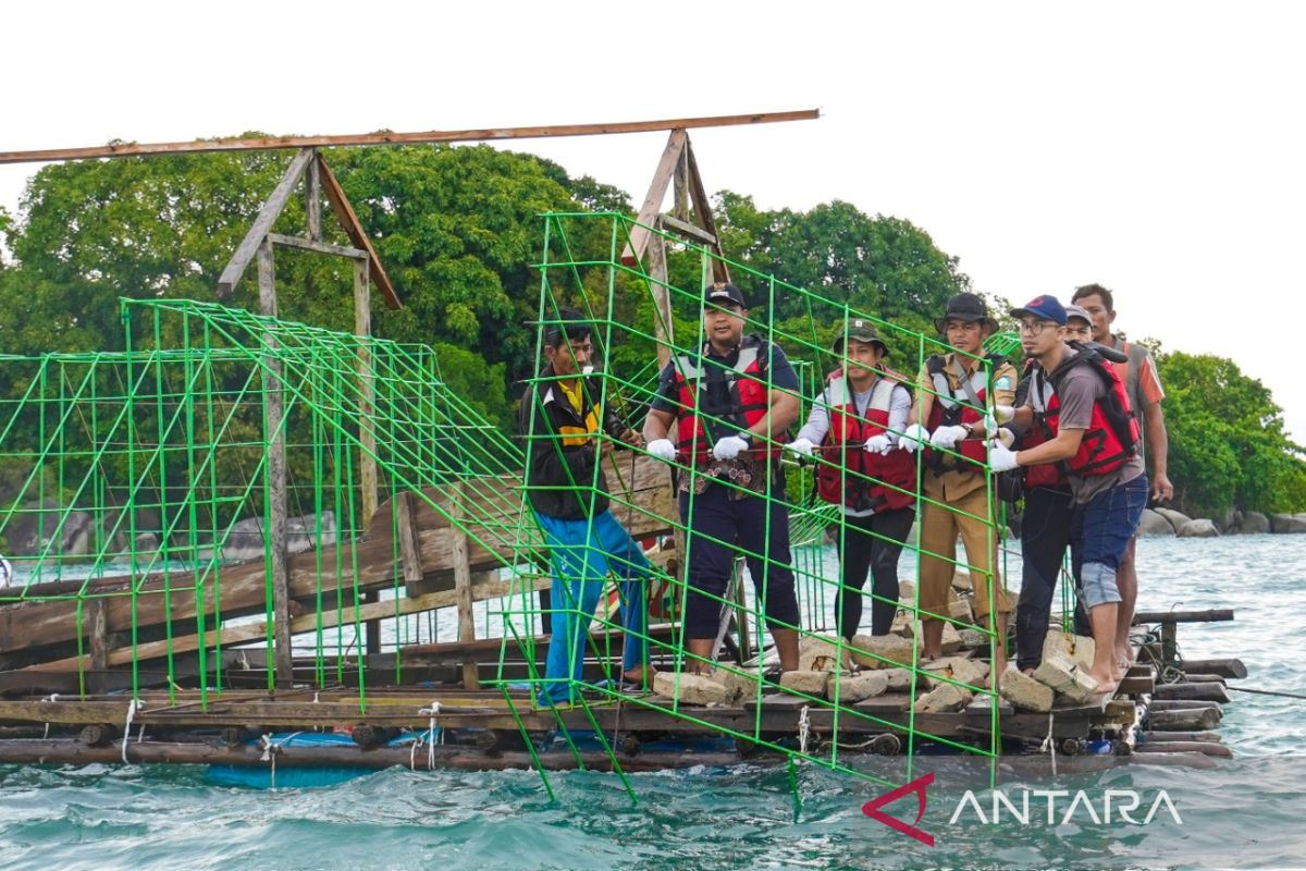 Kembangkan wisata bawah laut di Pulau Putri, PT Timah Tbk kembali tenggelamkan coral garden