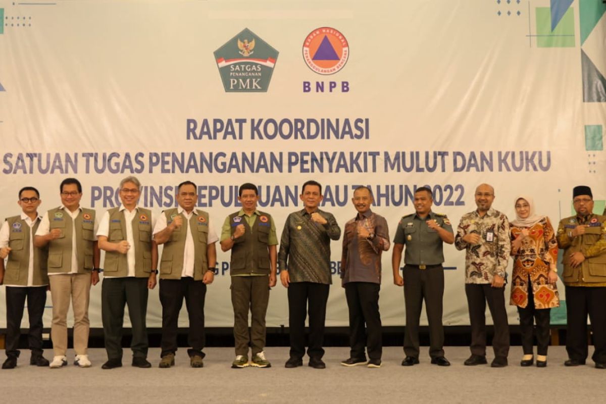 BNPB ingatkan Kepri tetap waspada PMK meski nol kasus