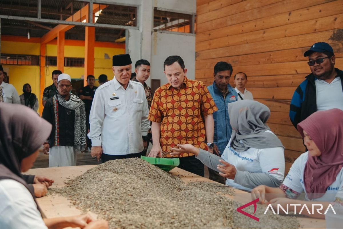 Kemendes dorong petani kopi Aceh Tengah untuk hilirisasi produk