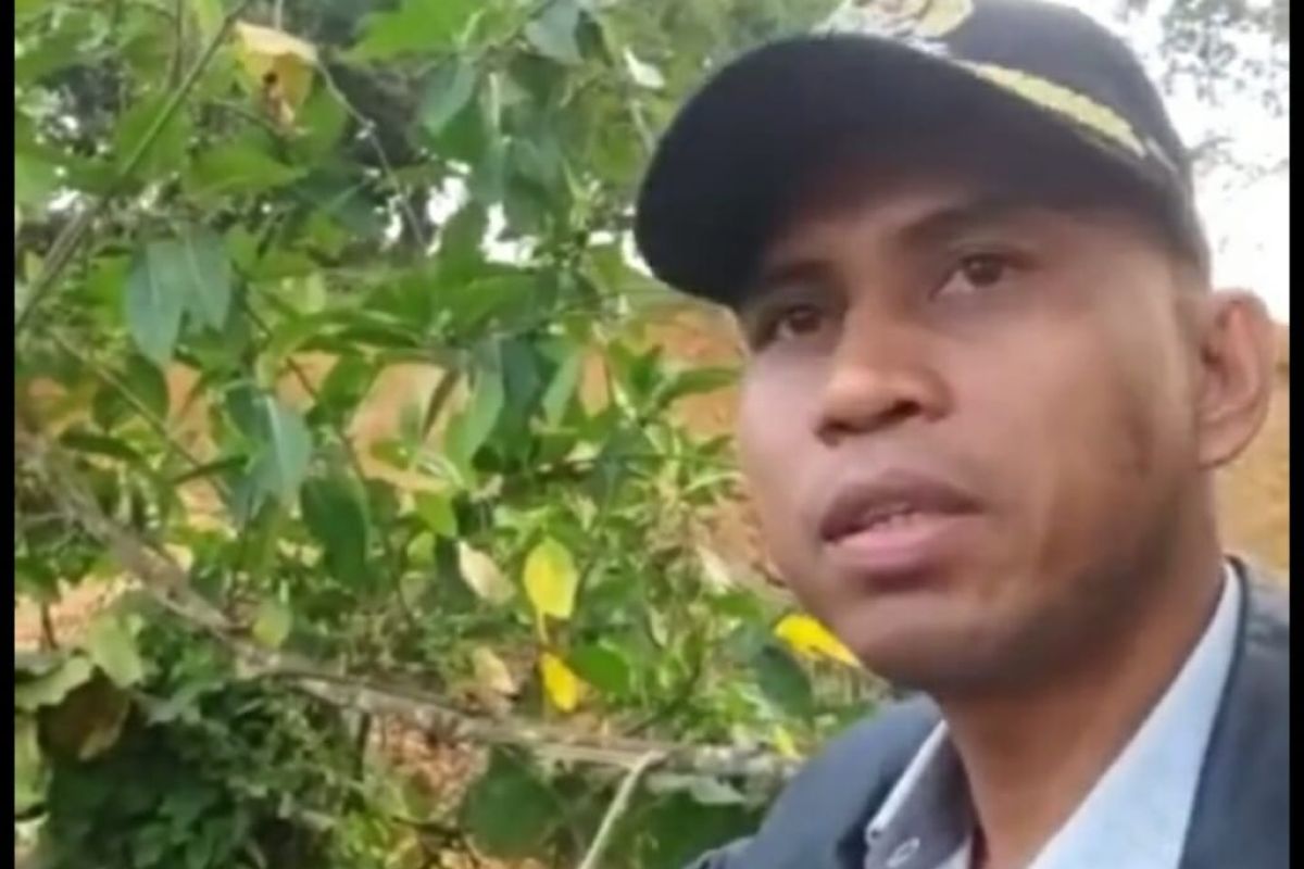 Legislator Kaltim minta Dinas Kehutanan perketat pengawasan tambang di hutan lindung