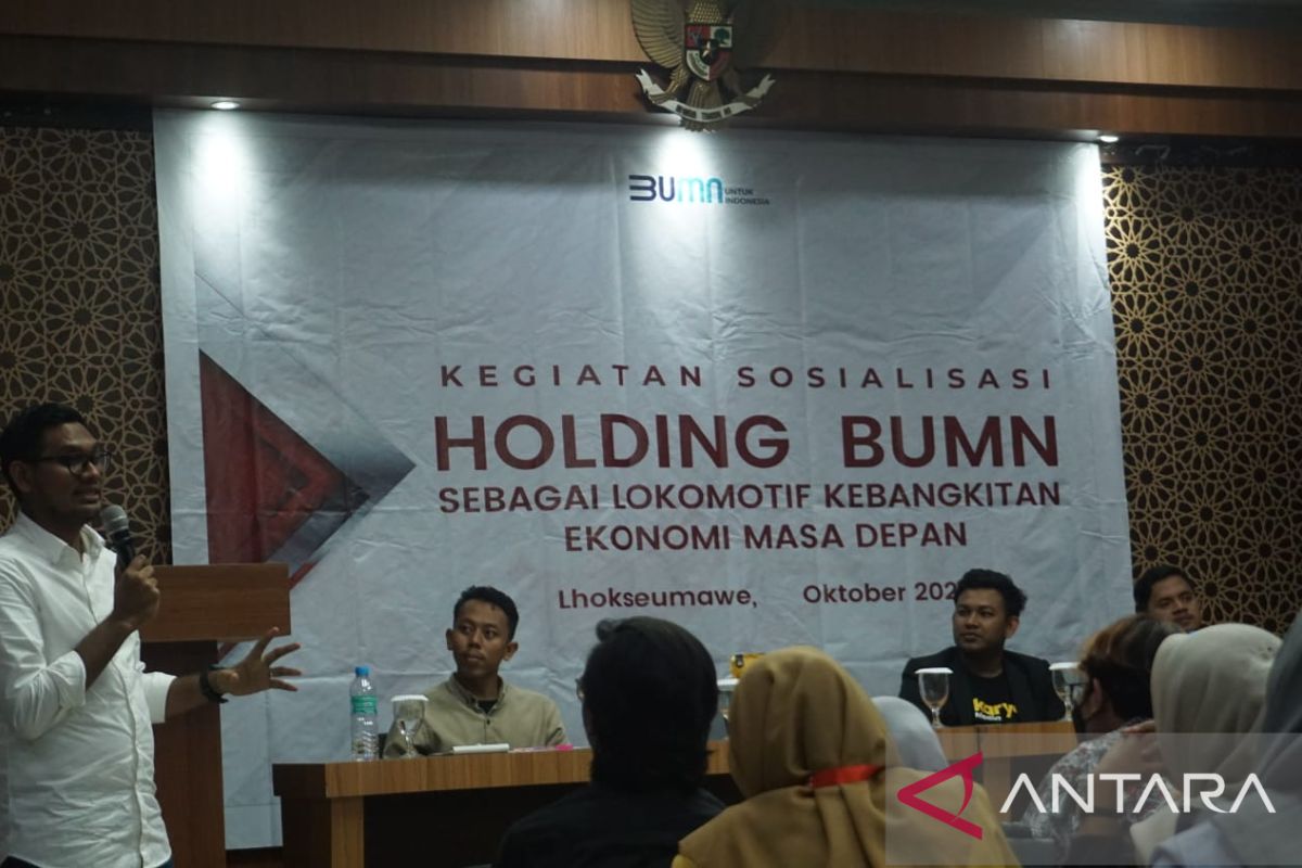 Yayasan Teras Inovasi Indonesia kenalkan Holding BUMN ke pemuda Aceh