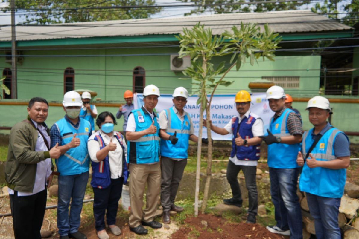 PLN bersama DLH Makassar tanam 37 pohon tabebuya
