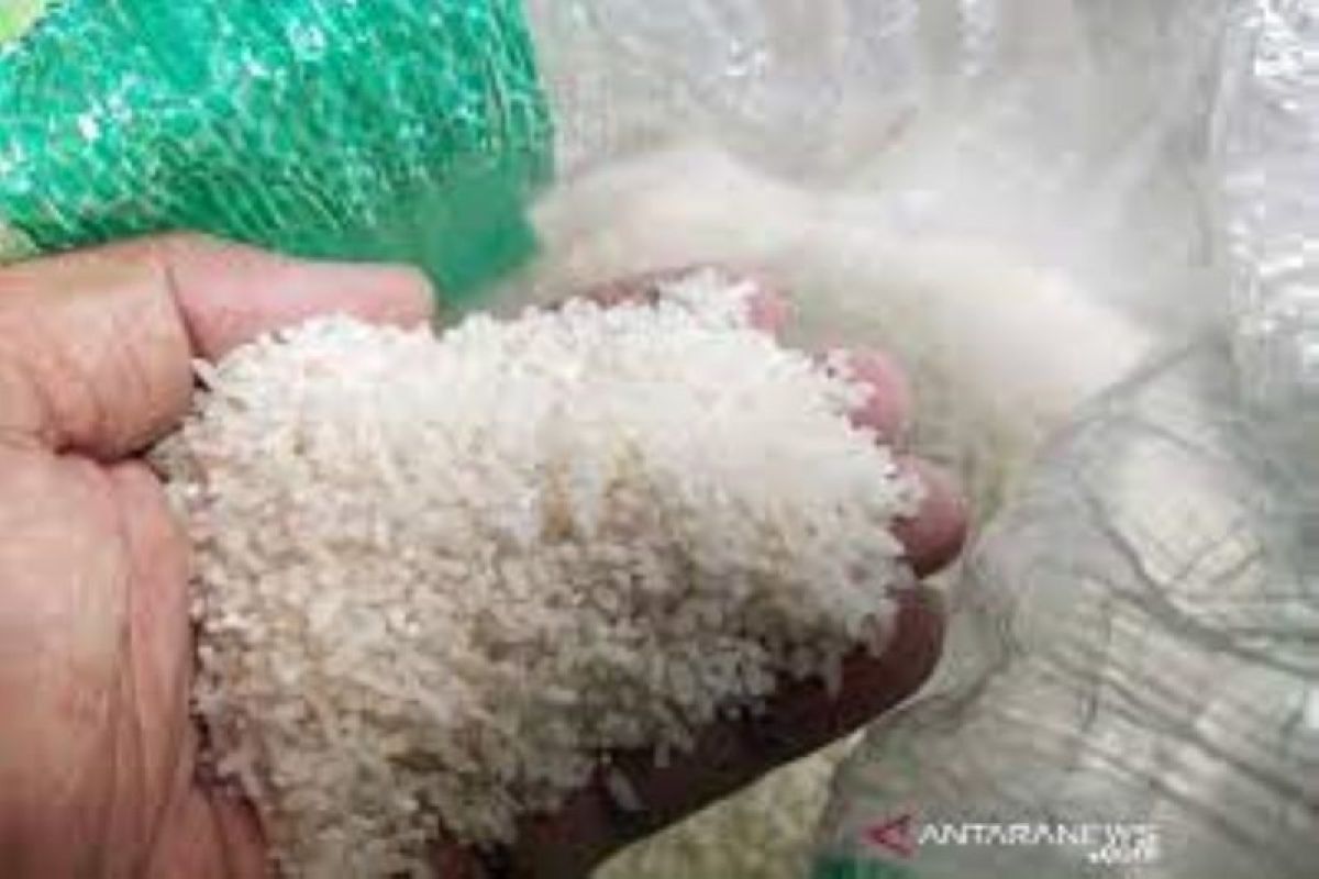 Pemprov Riau dorong ASN konsumsi beras lokal sebagai upaya atasi inflasi