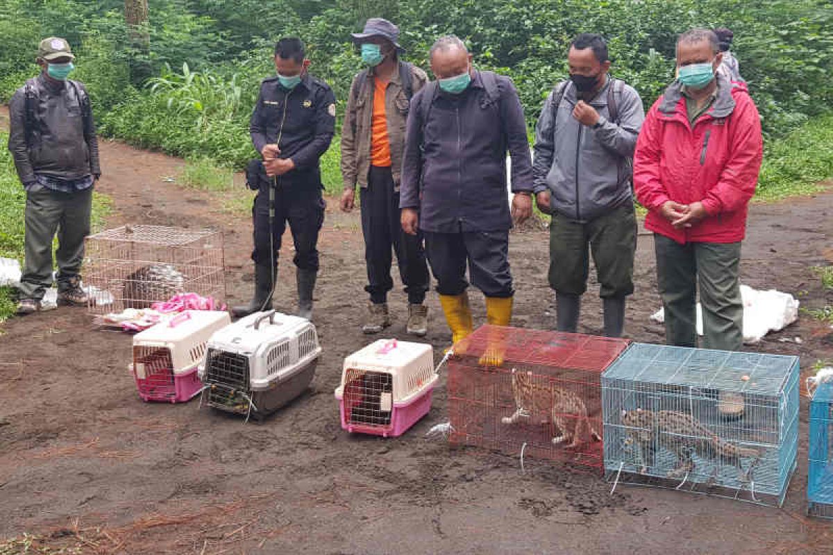 Mt Cermai National Park receives seven endangered animals from Jakarta