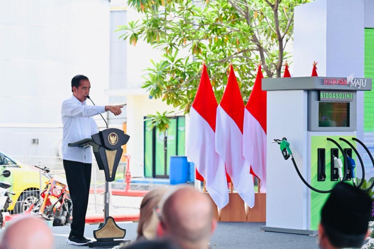 Jokowi harap produktivitas dan kualitas tebu meningkat