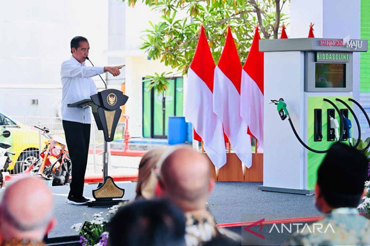 Jokowi harap produktivitas dan kualitas tebu meningkat